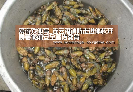 爱游戏体育