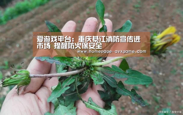 爱游戏下载