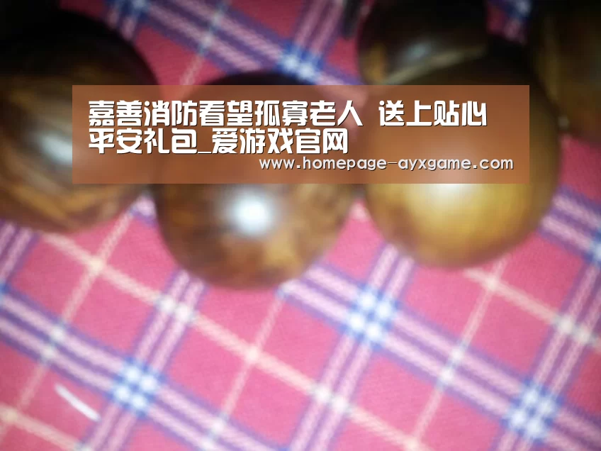 嘉善消防看望孤寡老人 送上贴心平安礼包_爱游戏官网(图1) 爱游戏平台