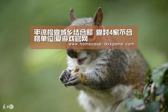 爱游戏平台
