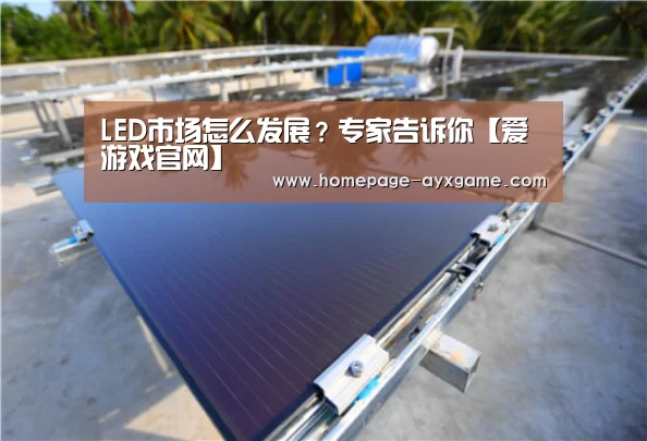 爱游戏平台