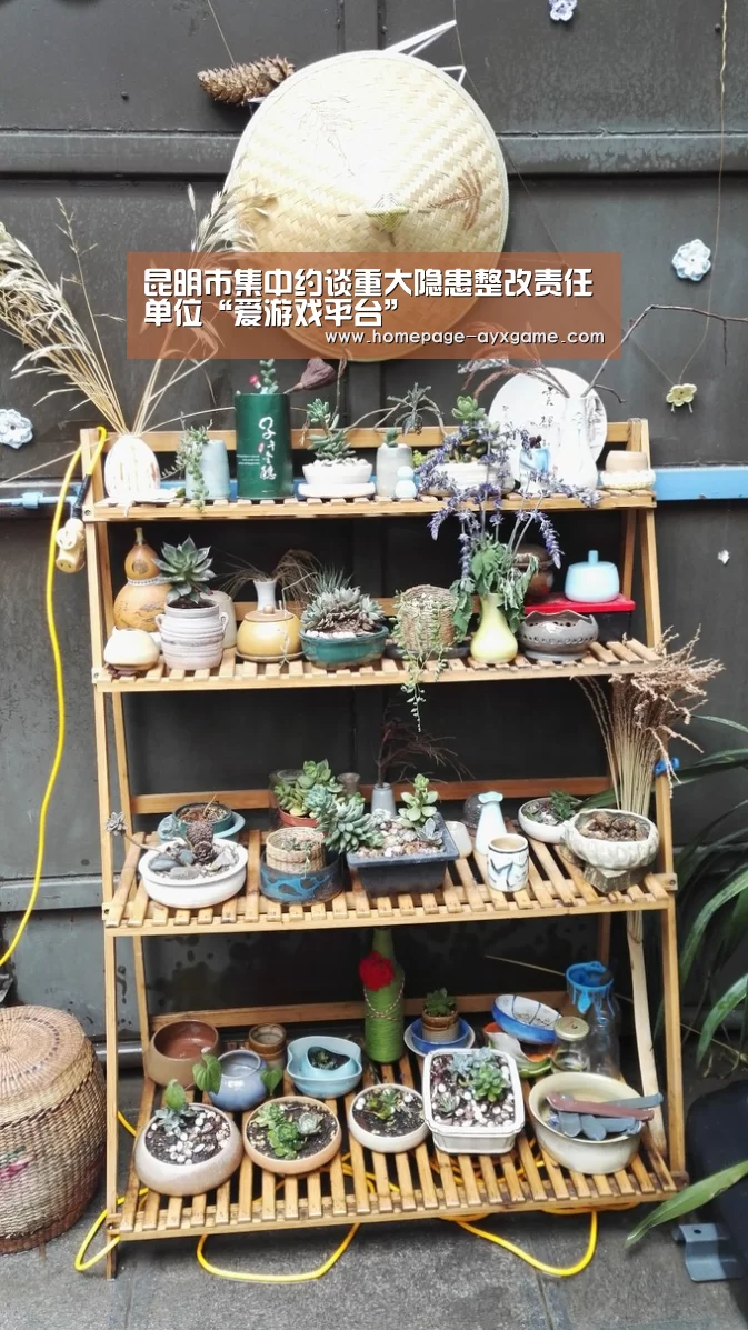 昆明市集中约谈重大隐患整改责任单位“爱游戏平台”(图2) 爱游戏体育